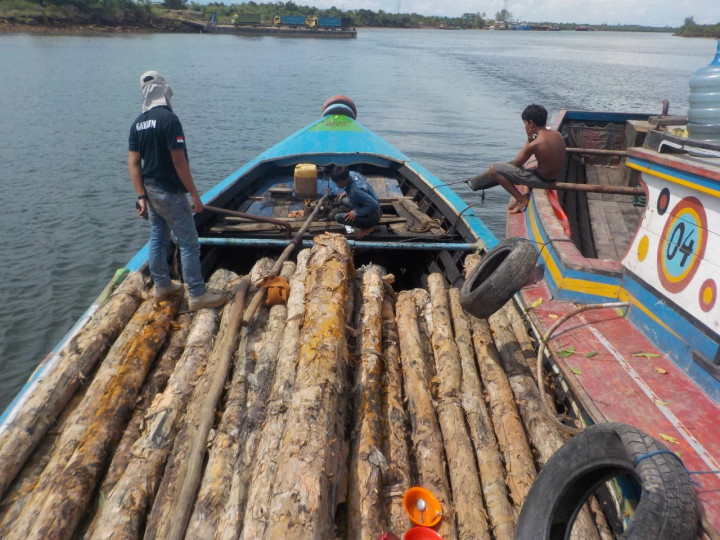 Pembalak Liar di Kawasan Suaka Margasatwa OKI Ditangkap