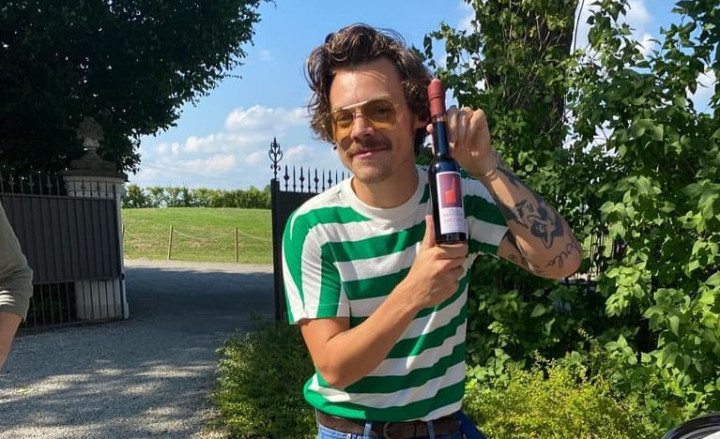 Harry Styles Akhirnya Pamer Kumis Super Mario
