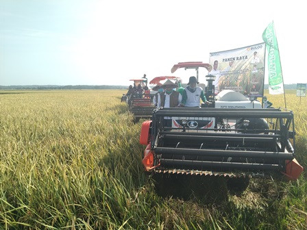 Dirut Bulog Pimpin Panen Raya di Pandeglang