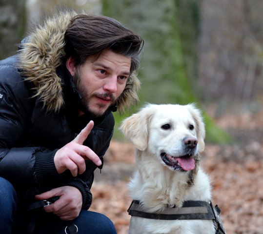 Studi Potensi Anjing dalam Mengetahui Infeksi Covid-19 pada Manusia