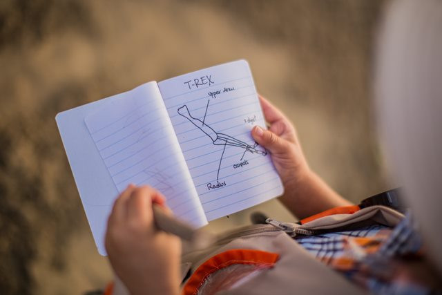 Belajar di Luar Ruangan, Alternatif untuk Anak Belajar di Masa Pandemi