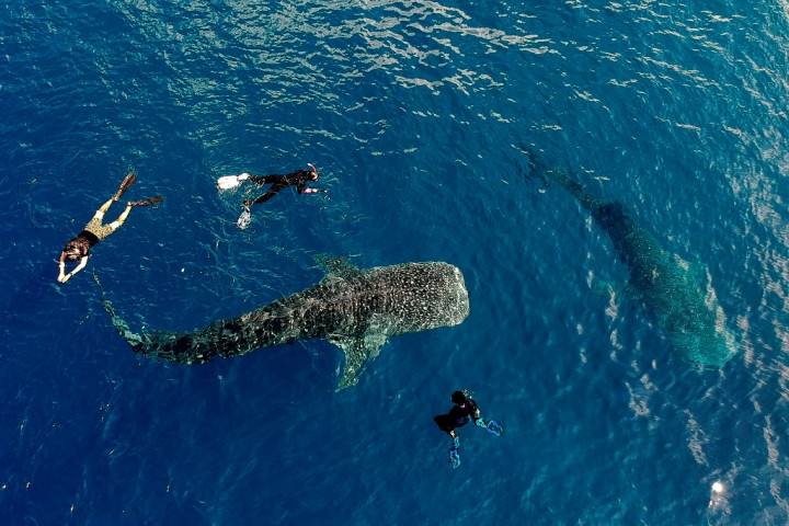 Pemprov Gorontalo Ajukan 13 Kawasan sebagai Geopark Nasional