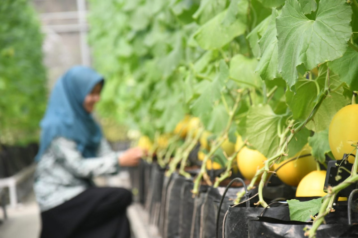Mengenal ATP IPB, Wisata Pertanian di Bogor