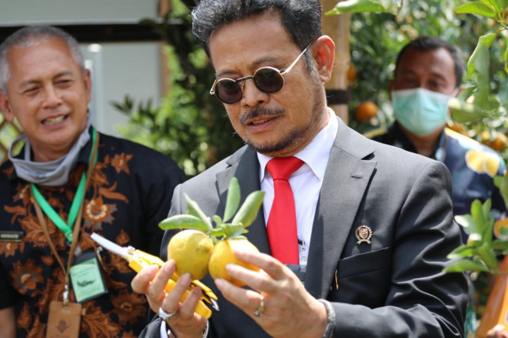 Mentan Ingin Litbang Tanaman Jeruk Ditingkatkan