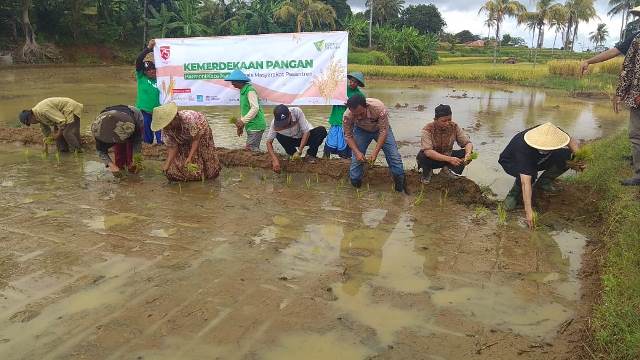 Optimalisasi Potensi Lokal Wujudkan Ketahanan Pangan