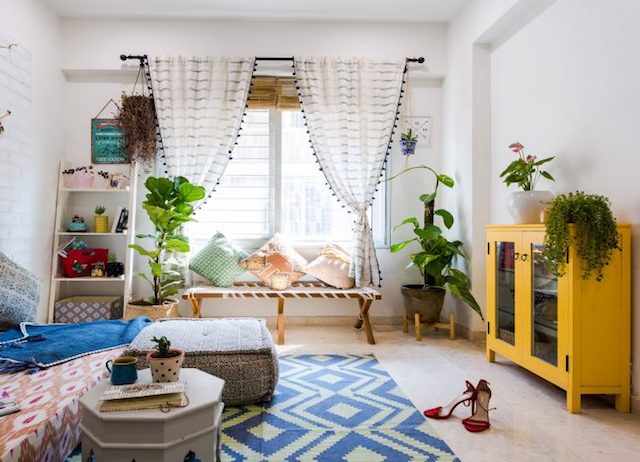 5 Tanaman Hias yang Sedang 'Naik Daun'