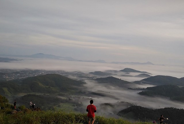 Pesona Kabut Pagi Bukit Jamur