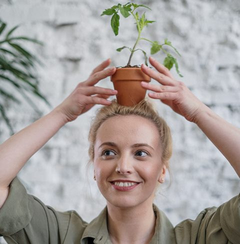 5 Tips Cepat Panen Tanaman