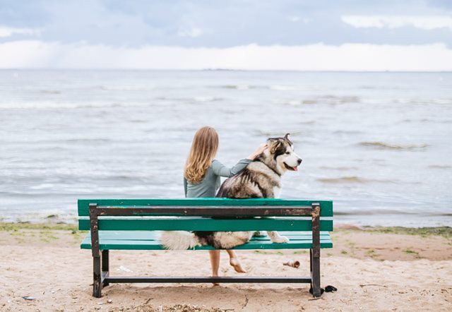 Kenapa Timbul Rasa Sedih ketika Hewan Peliharaan Hilang?