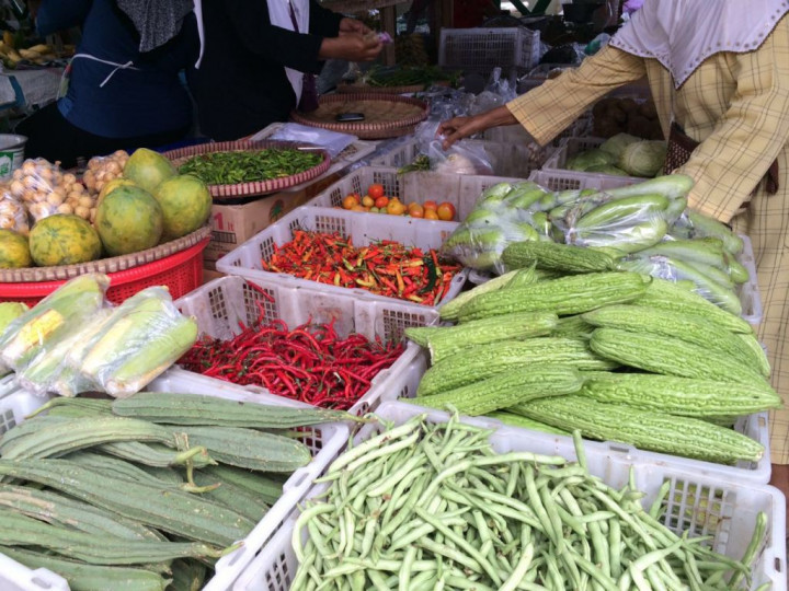 Seluruh Bantuan Subsidi Pemerintah Diharap Katrol Daya Beli Masyarakat