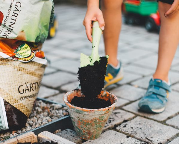6 Panduan Dasar Menanam bagi Pemula