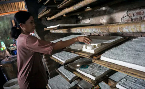 Banyak Orang Indonesia tak Sadar Makan Tempe Kedelai Hasil Rekayasa Genetik AS