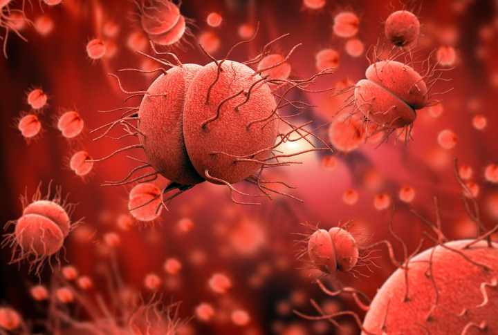 5 Penyebab Penyakit Meningitis Muncul