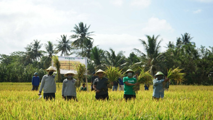 Pemanfaatan Wakaf Produktif Membuka Lapangan Kerja
