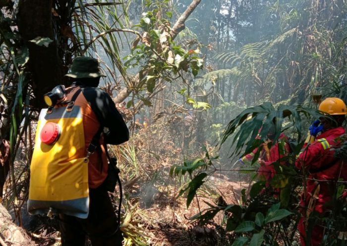 Hutan Gunung Tangkuban Parahu Kebakaran