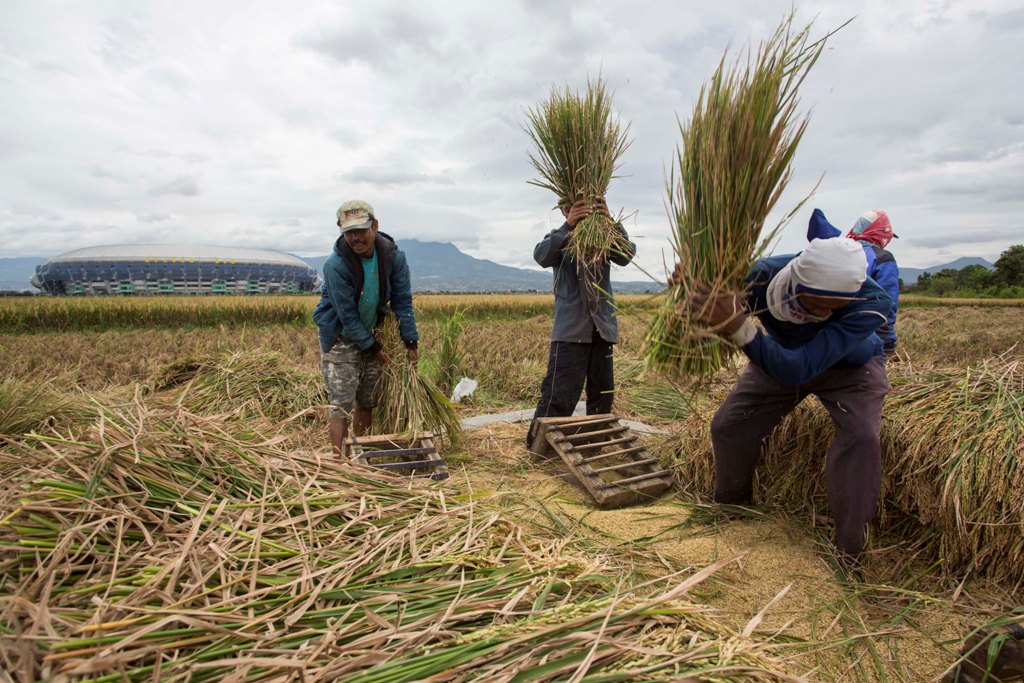 Ilustrasi. FOTO: MI/RAMDANI