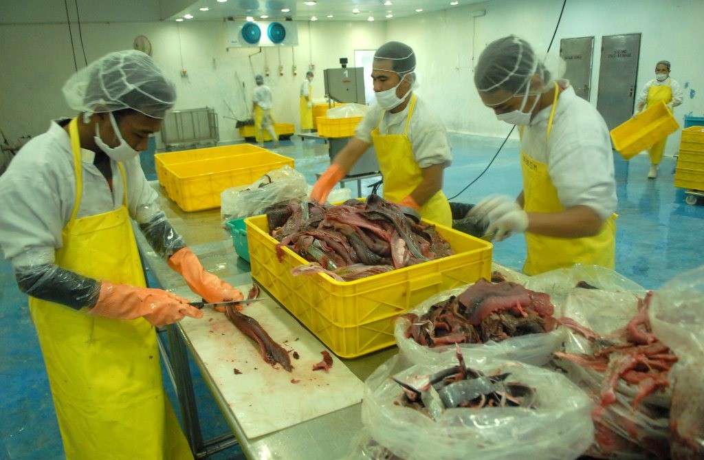 KKP Genjot Daya Saing Produk UMKM Pengolahan  Ikan  Jabar 