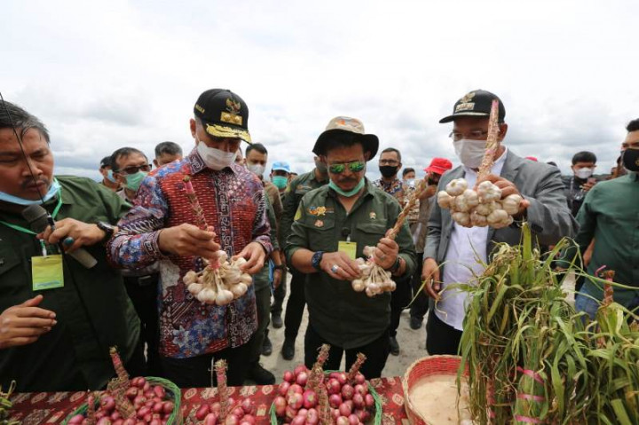Wagub Sumut Optimistis Pengembangan Food Estate Berhasil