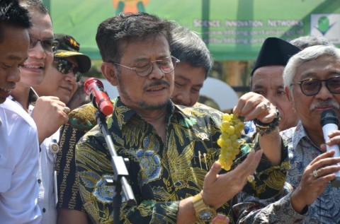 Menteri Pertanian (Mentan) Syahrul Yasin Limpo. Foto : Kementan.