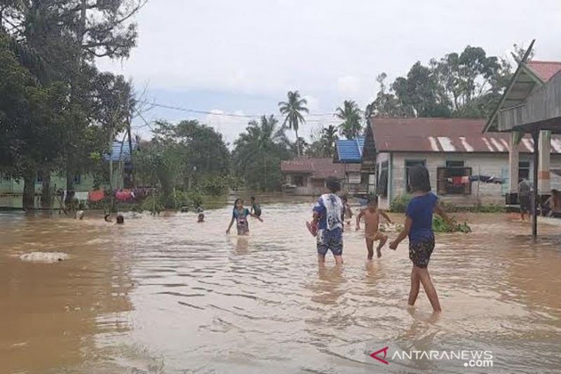 1.000 Rumah di Gunung Mas Kalteng Terendam Banjir