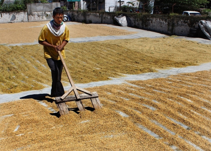 Bulog Banyumas Capai Target Pengadaan Gabah di 2020