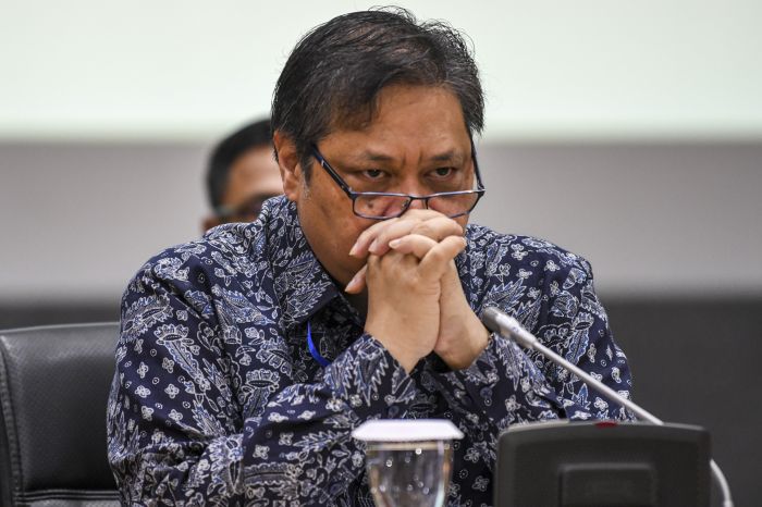 Airlangga: Jangan Bikin Kebijakan Overdosis