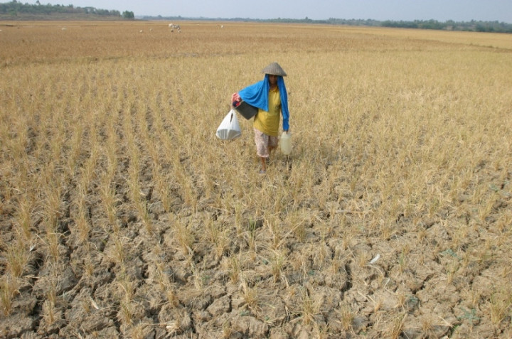 Kementan: Kekeringan Dapat Diantisipasi dengan 2 Cara