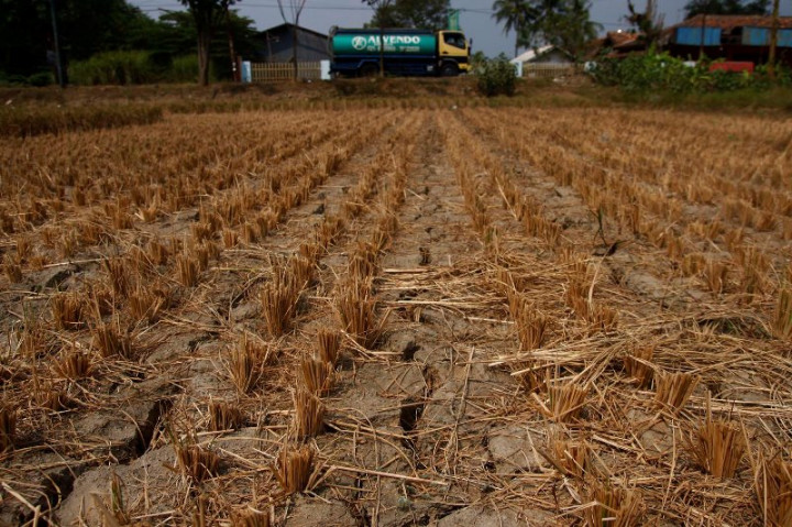 Berpotensi Hadapi Cuaca Ekstrem, Petani Makassar dan Gowa Diminta Jaga Lahan