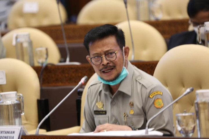 DPR Ketuk Pagu Anggaran 2021 Kementan