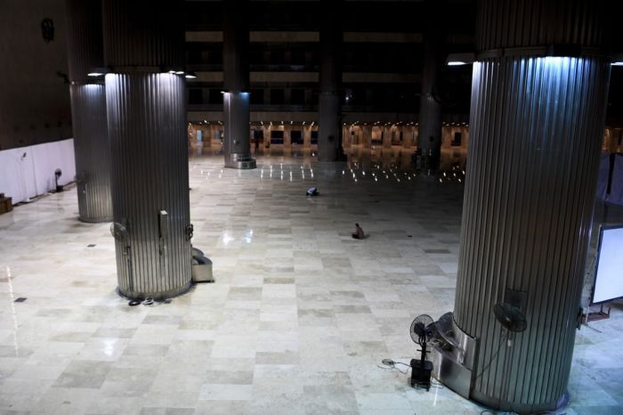 ANTARA Foto/Hafidz Mubarak A  