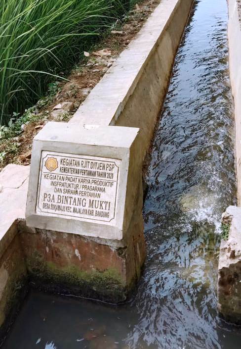 RJIT Ditjen PSP Bantu Tingkatkan Indeks Pertanaman di Majalaya