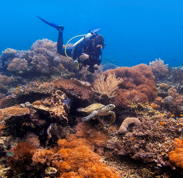 3 Wisata Konservasi Alam yang Wajib Dikunjungi Usai Pandemi