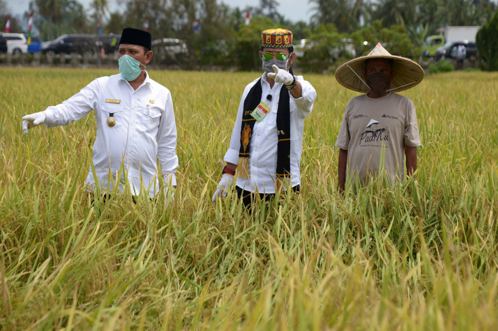 Mentan Syahrul Minta Aceh Optimalkan Sektor Pertanian