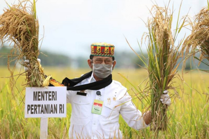 Mentan Rayakan Panen Padi di Aceh Besar
