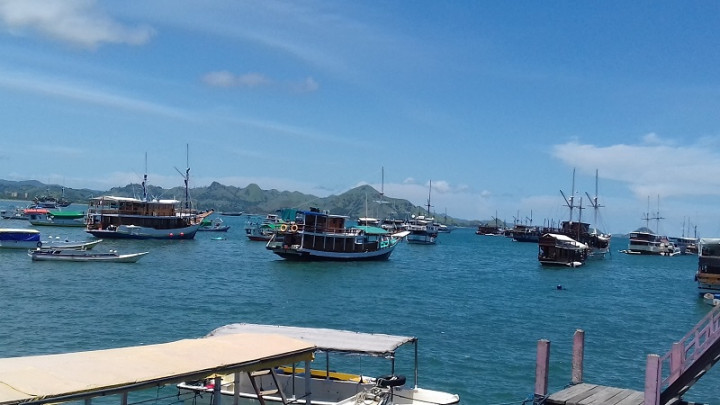 Jokowi Tinjau Pembangunan Terminal Multifungsi Labuan Bajo