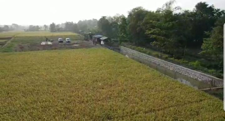 Embung dari Ditjen PSP Bantu Peternakan di Indramayu