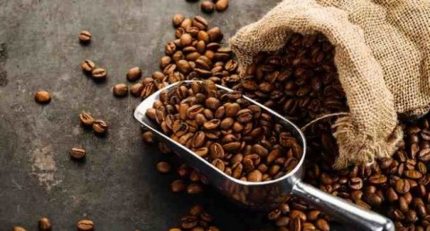 Kembangkan Kopi Lokal, Dekopi Tawarkan Kerja Sama dengan Kementan