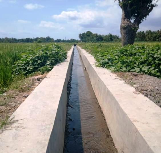 RJIT Kementan Tingkatkan Indeks Pertanaman di Bantul