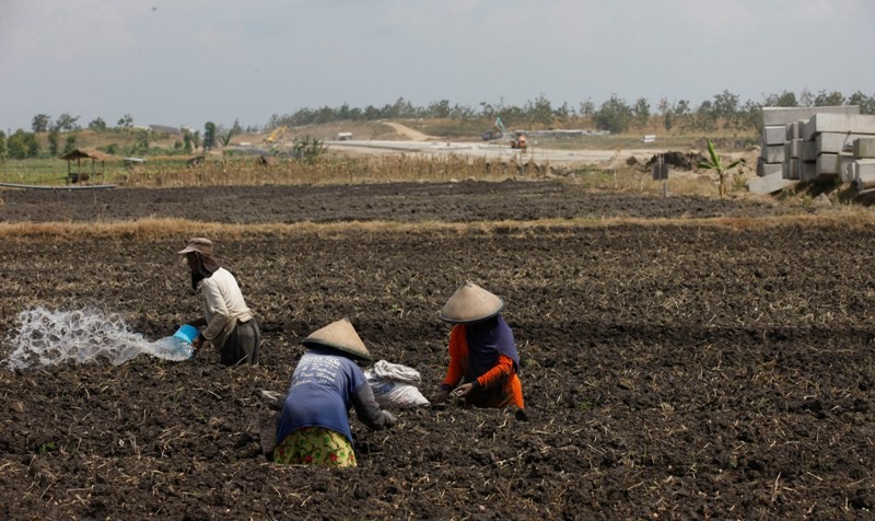 Plus Minus UU Cipta Kerja untuk Sektor Pertanian