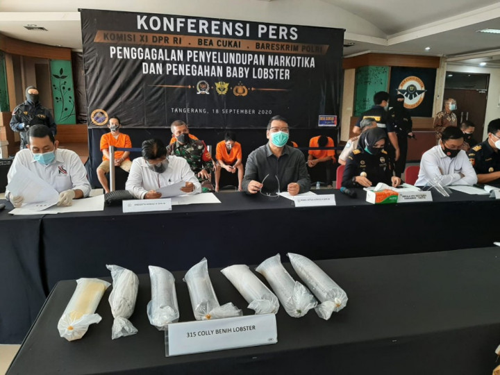 Legislator: Usut Dalang Penyelundupan Benih Lobster