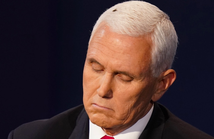 Lalat Ikut Serta dalam Debat Cawapres AS