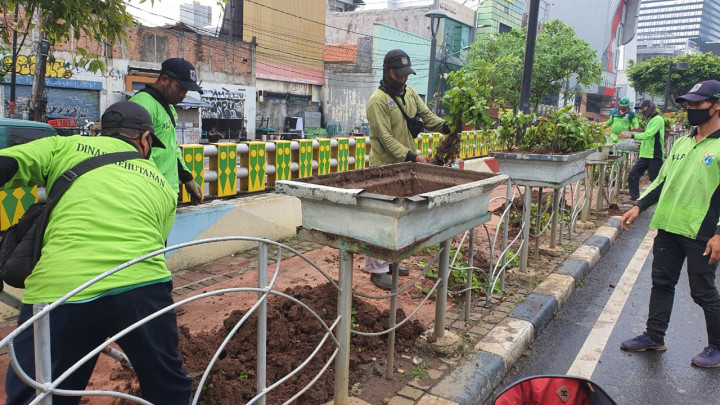 Ribuan Tanaman dan Taman Jakpus Rusak Akibat Demo Rusuh