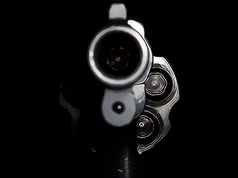 Kondisi Dosen UGM yang Tertembak di Intan Jaya Stabil