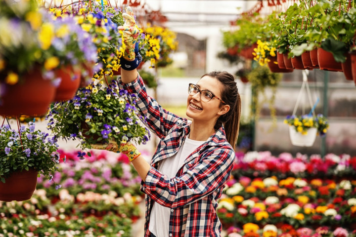 5 Inspirasi Tanaman Gantung Ini Bikin Cantik Rumahmu