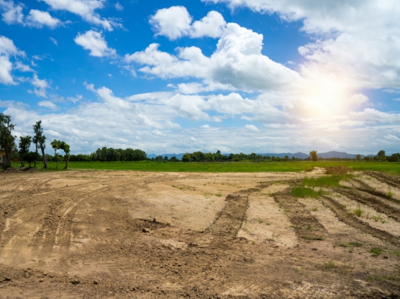 Pemerintah kebut penyusunan PP Bank Tanah . Foto: Shutterstock