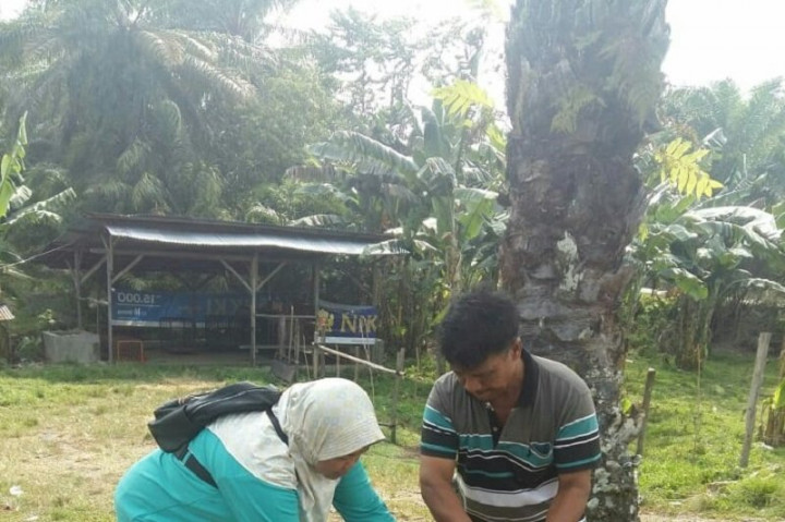 61 Warga Mukomuko Digigit Hewan Penular Rabies