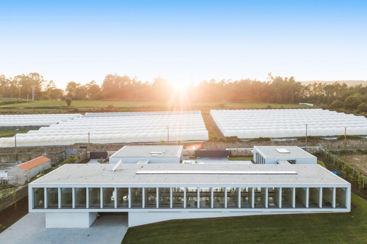 Mewahnya Hotel Khusus Kucing dan Anjing di Portugal