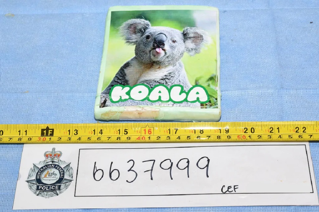 Pelaku menyembunyikan kokain di dalam paket buah beku bergambar koala di Sydney, Australia. (Australian Border Force)