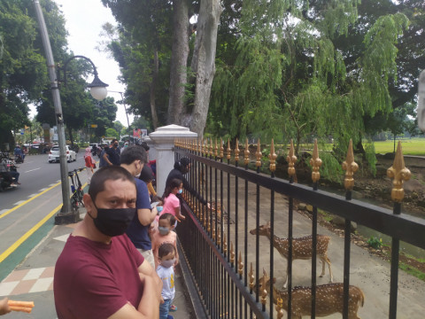 Jalur Pedestarian Lingkar Kebun Raya Bogor Kembali Dibuka