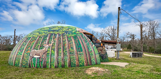 Unik! Rumah Texas Penuh Warna di Bawah Tanah